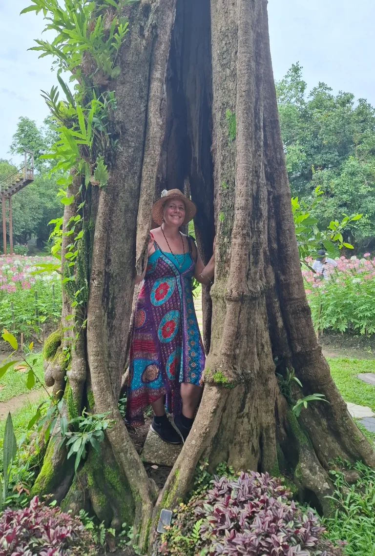 Connecting with the Tree